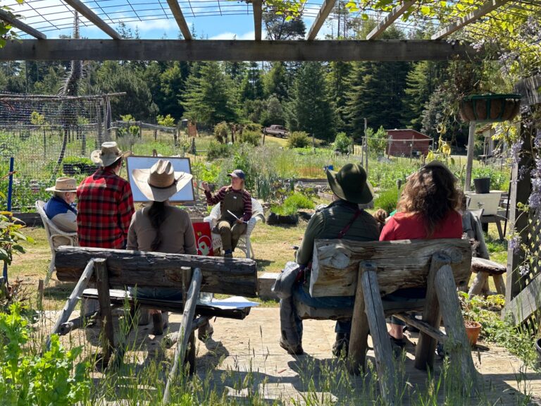 Learning how to harvest quinoa.